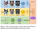 An End-to-End Traditional Chinese Medicine Constitution Assessment System Based on Multimodal Clinical Feature Representation and Fusion