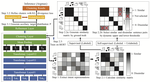 Discovering New Intents via Constrained Deep Adaptive Clustering with Cluster Refinement